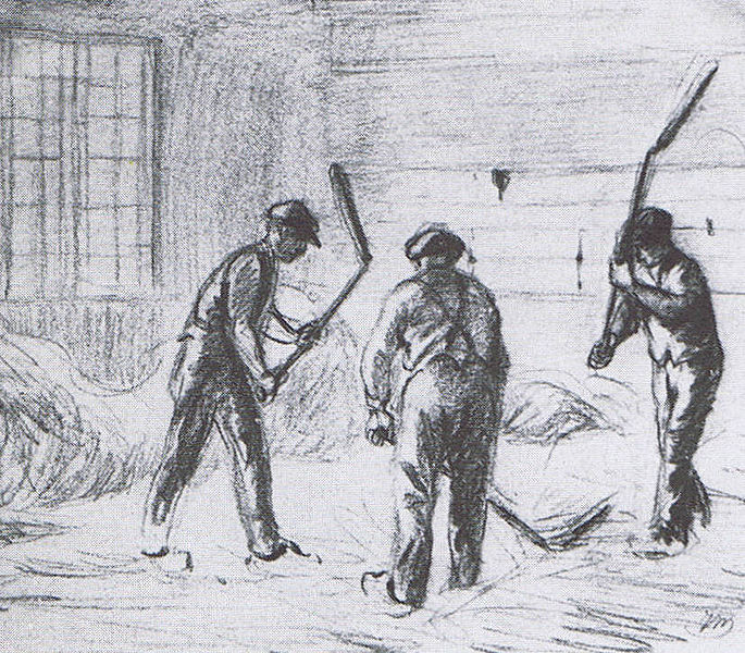 Bestand:Dorsen (dorsvlegel).jpg