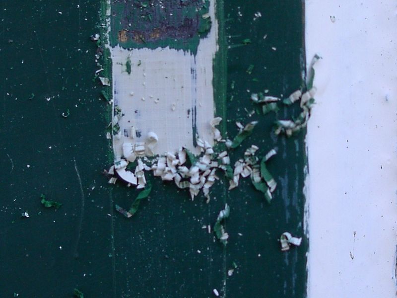 Bestand:17.JPG