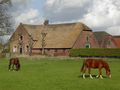 Miniatuurafbeelding voor de versie van 17 aug 2012 om 13:40