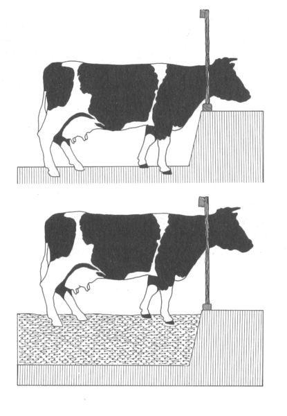 Bestand:Potstal0001.jpg
